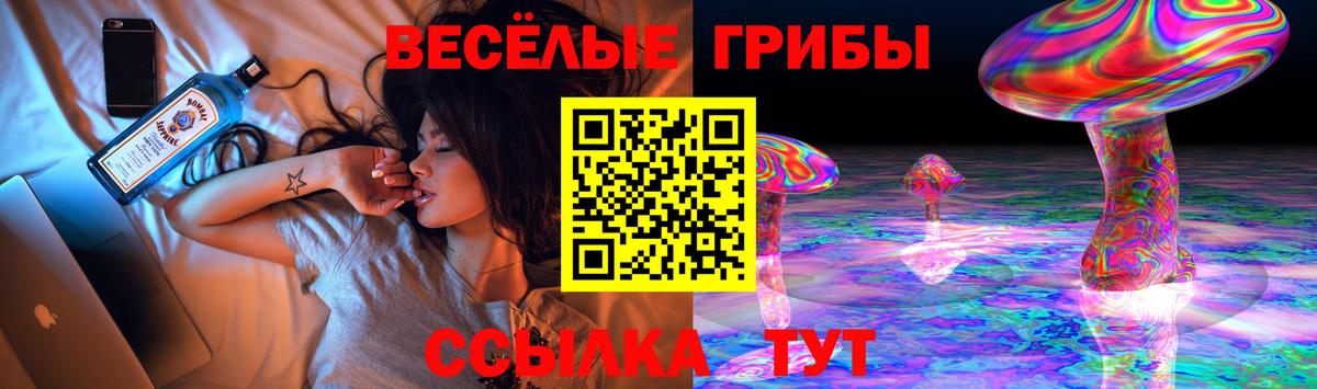 Камышин  Галлюциногенные грибы Cubensis  Вход с VPN  Псилоцибиновые грибы Psilocybe 